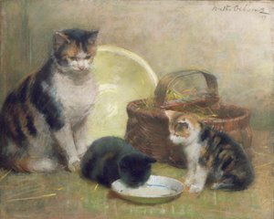 Gatto e gattini, 1889